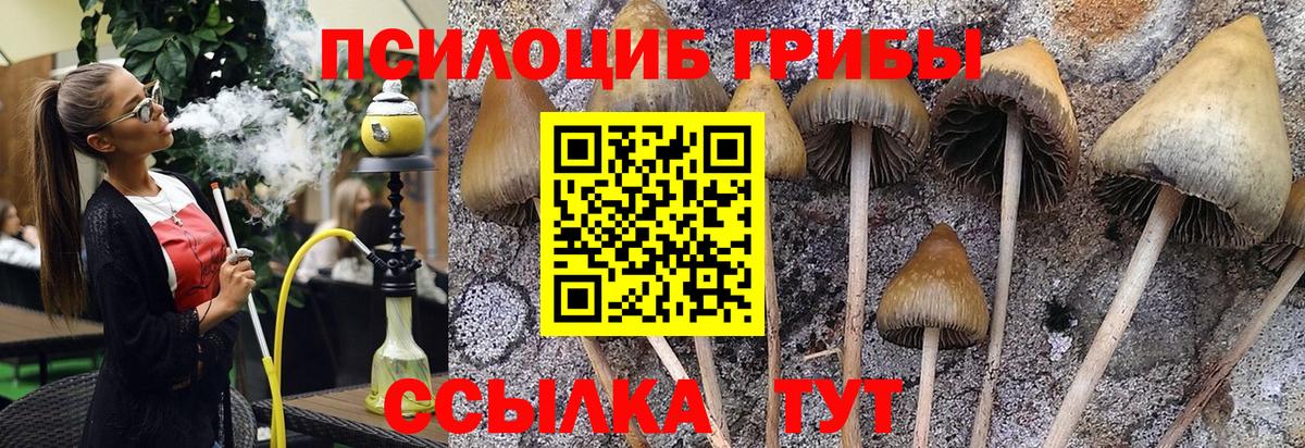 Шарыпово  Псилоцибиновые грибы мухоморы  магазин  наркотиков  Вход с VPN 
